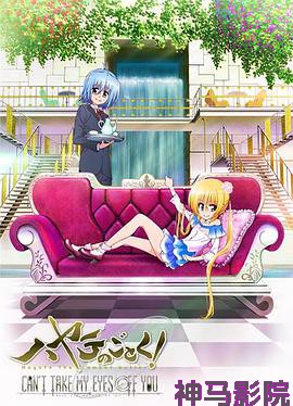 旋风管家第三季