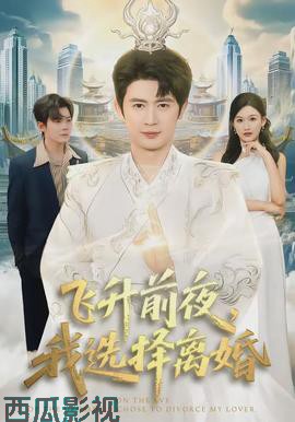 飞升前夜，我选择离婚