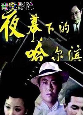 夜幕下的哈尔滨