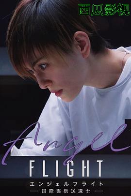 天使航班
