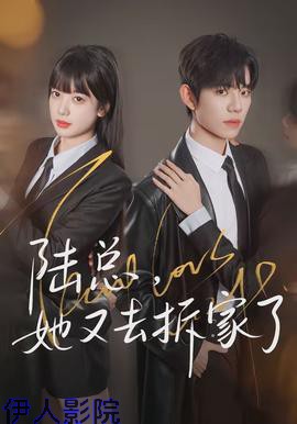 陆总，她又去拆家了