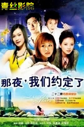 那夜我们约定了