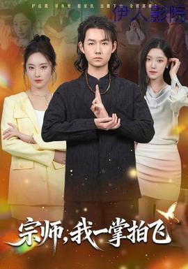 宗师，我一掌拍飞