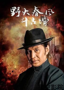 野火春风斗古城1995