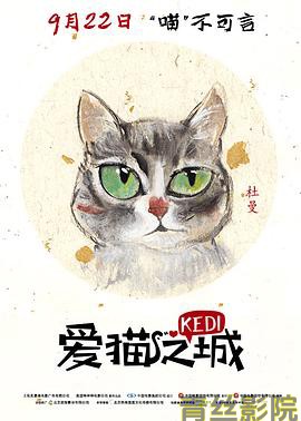 爱猫之城