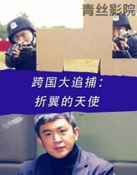 跨国大追捕：折翼的天使