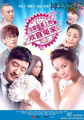 当婆婆遇上妈之欢喜冤家