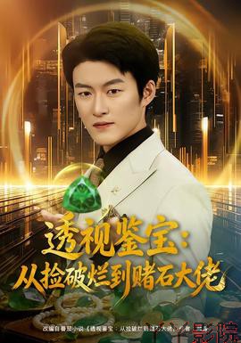 透视鉴宝：从捡破烂到赌石大佬