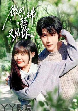 微风轻拂又见你