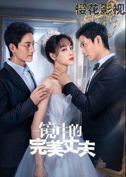 镜中的完美丈夫