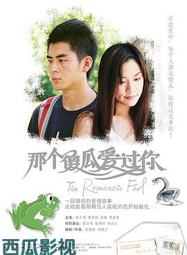 那个傻瓜爱过你国语