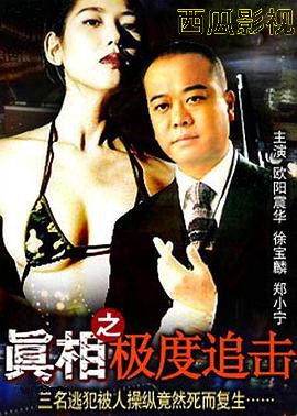 真相之极度追击