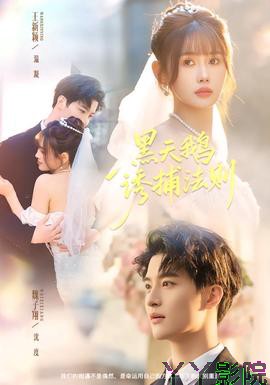 黑天鹅诱捕法册