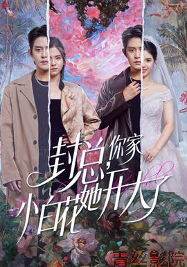 封总，你家小白花她开大了