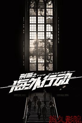 刑警之海外行动