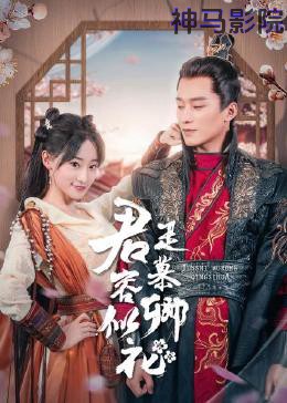 君是慕容卿似花