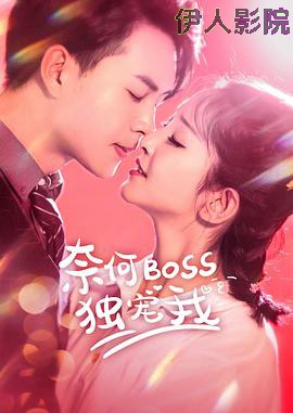 奈何Boss独宠我