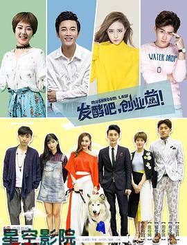 发酵吧，创业菌