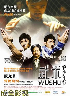 武术之少年行