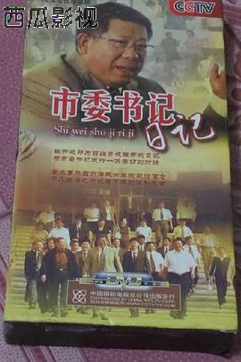 市委书记日记