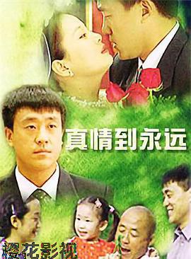 真情到永远