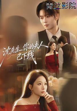 沈先生，你的夫人已下线